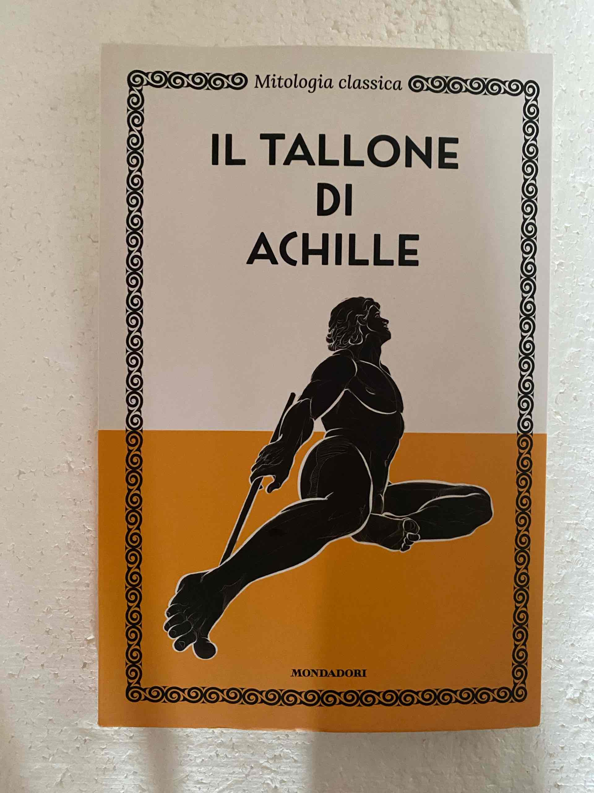 IL tallone di Achille libro usato