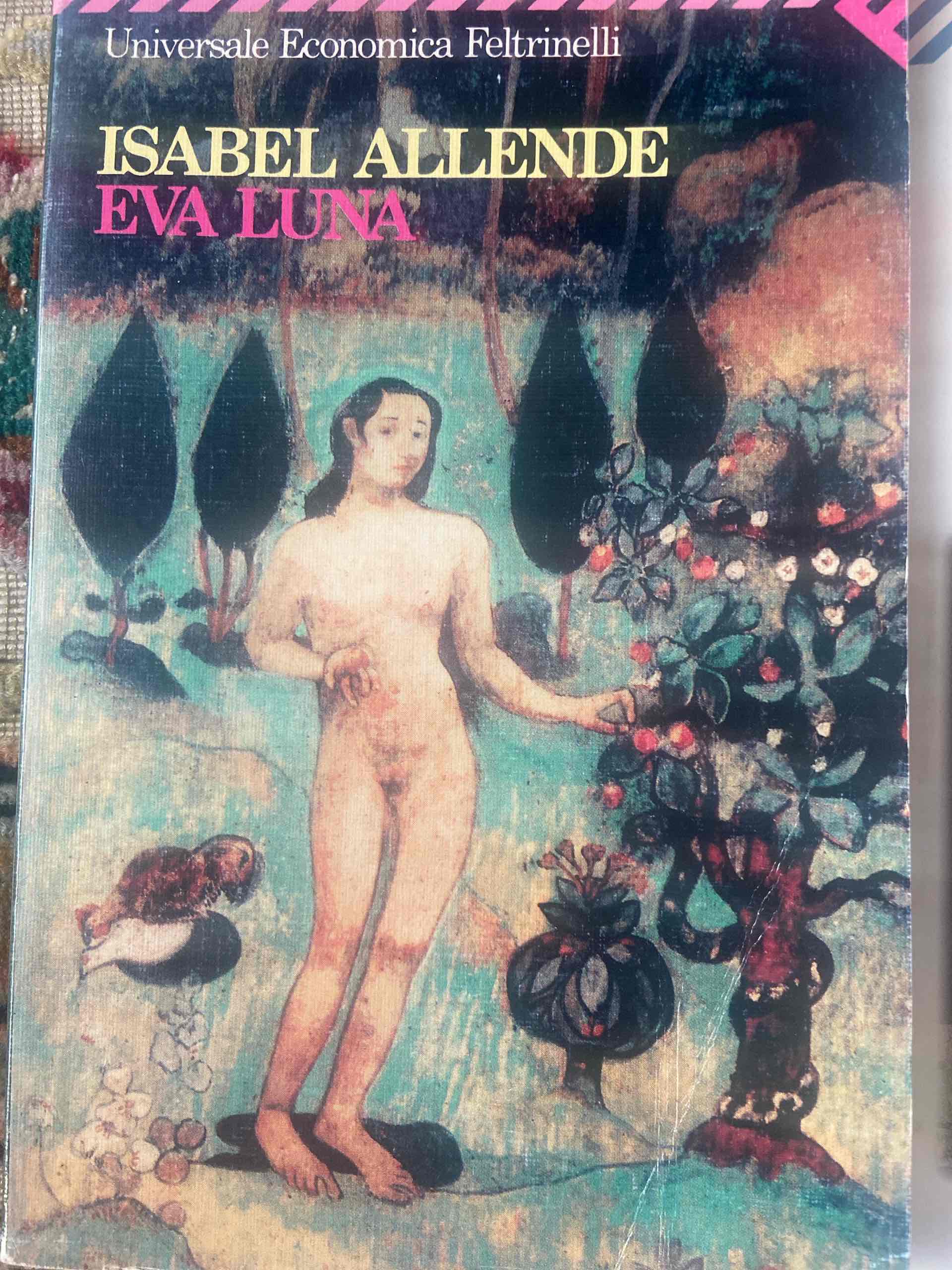 Eva Luna libro usato