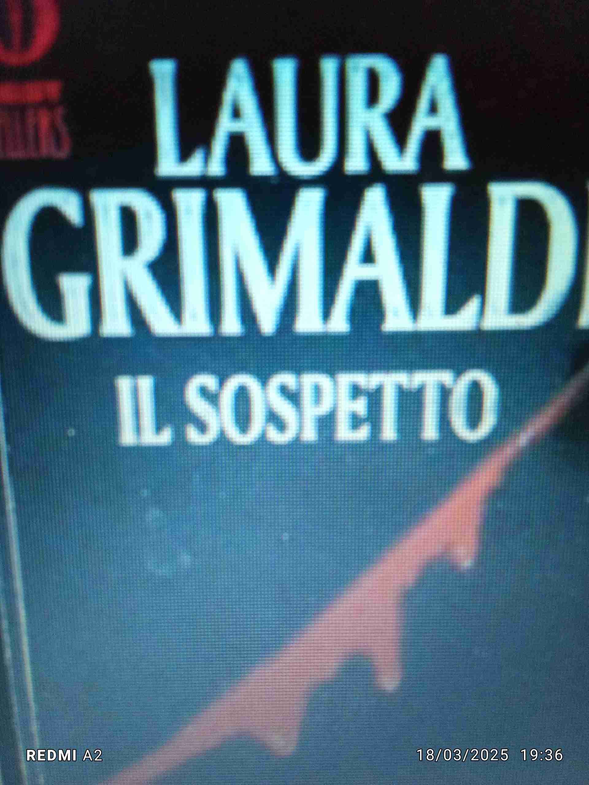 Il sospetto libro usato