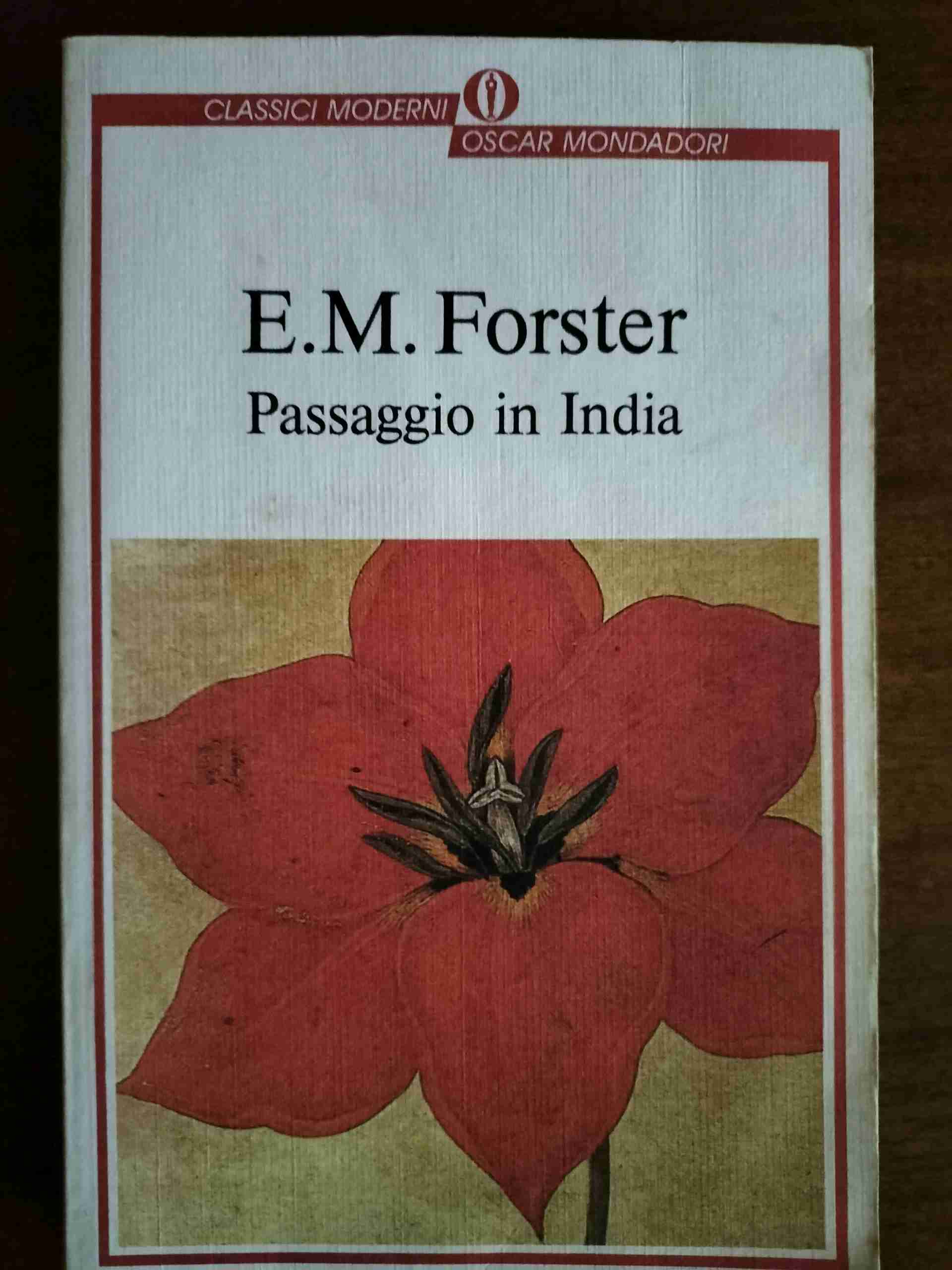 Passaggio in India libro usato