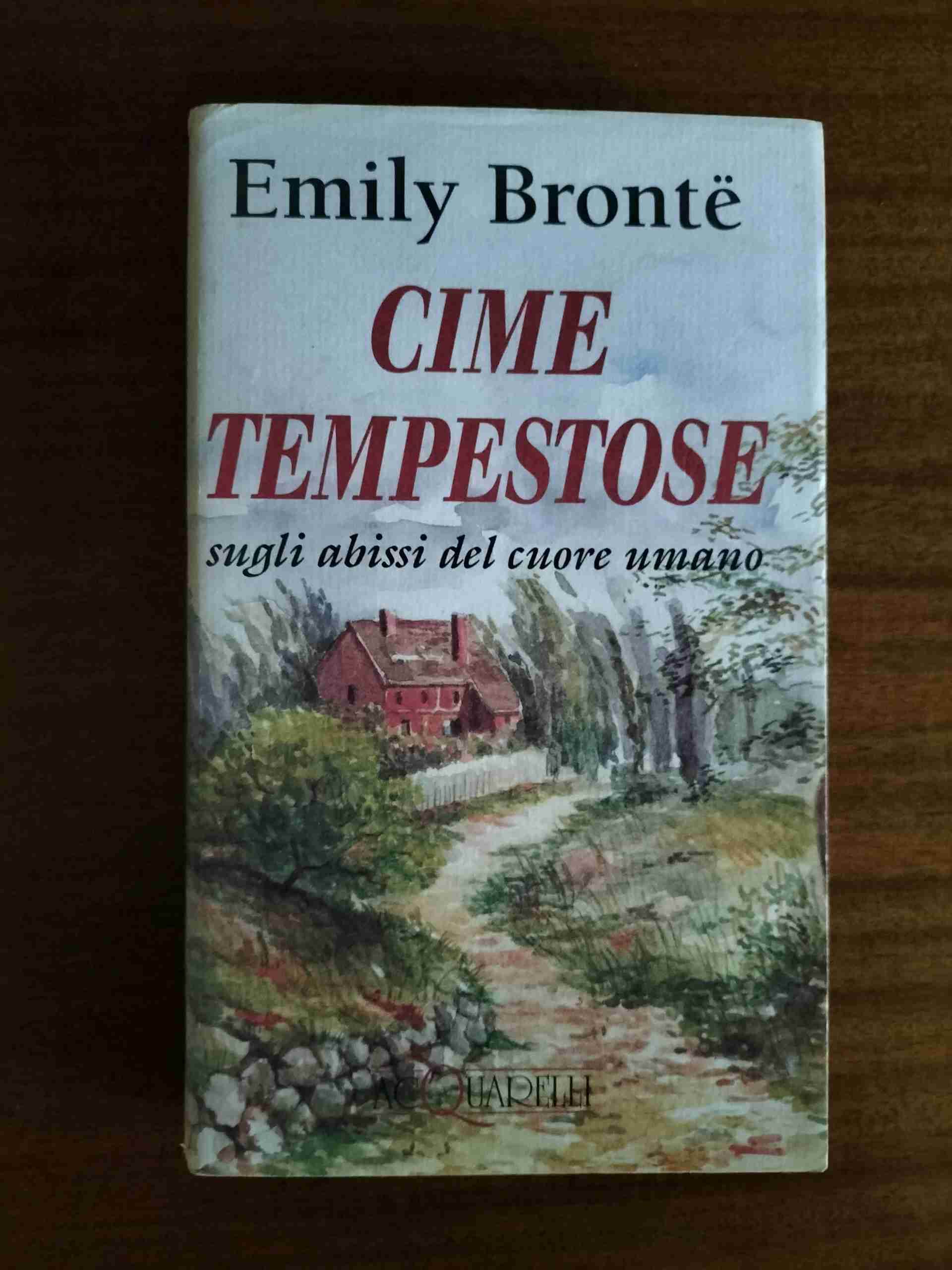 Cime Tempestose libro usato