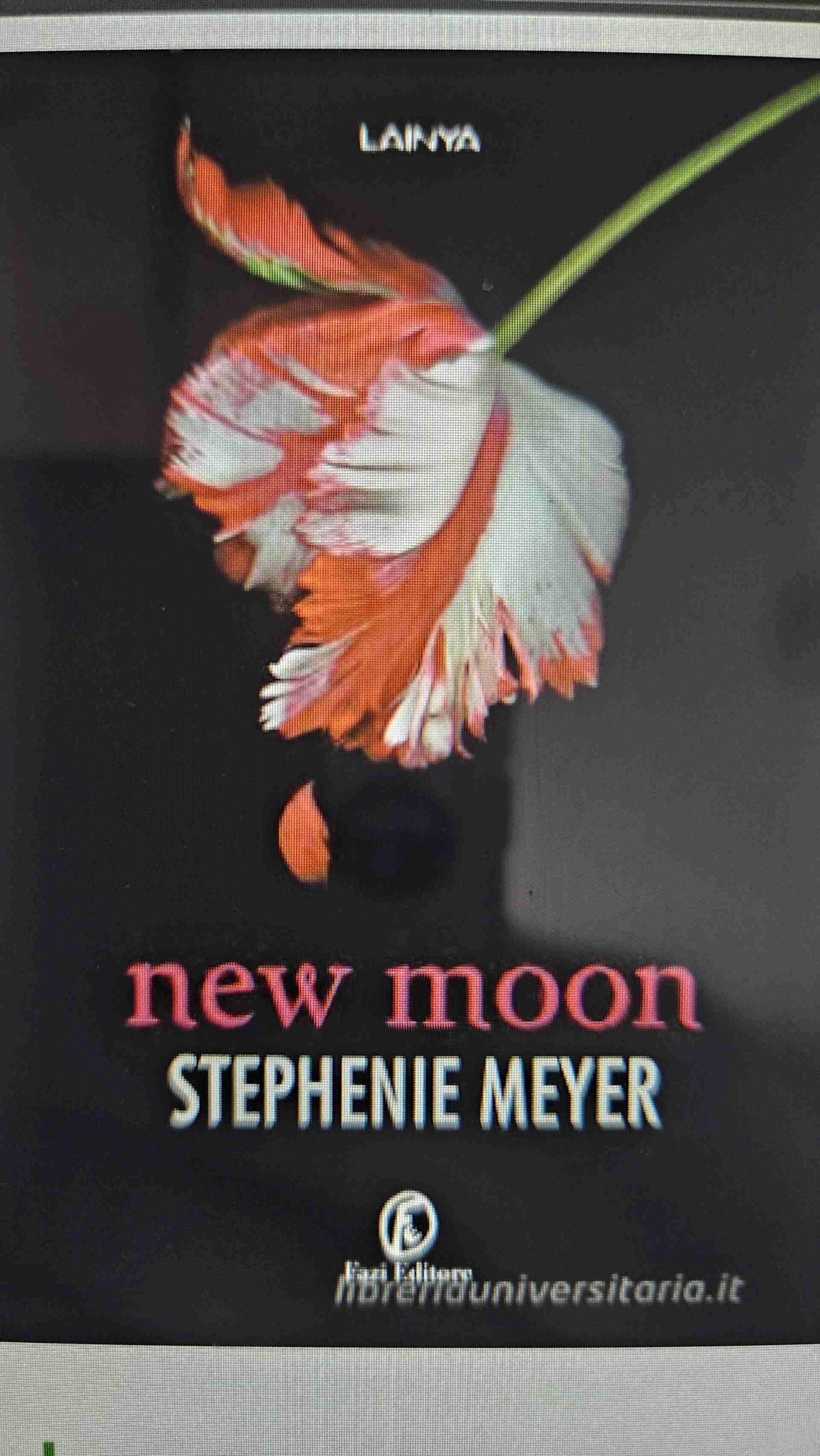 New Moon libro usato