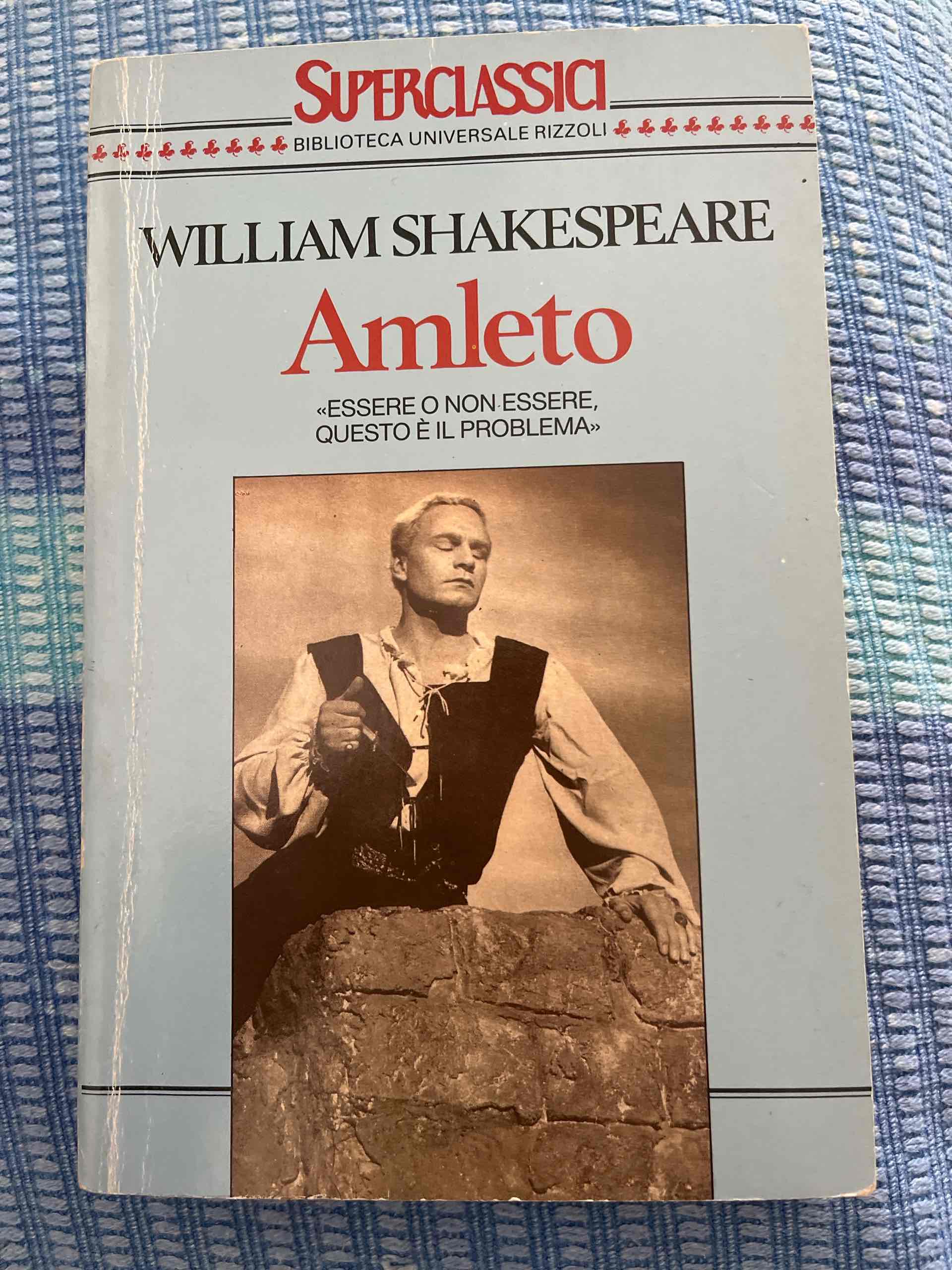 Amleto libro usato