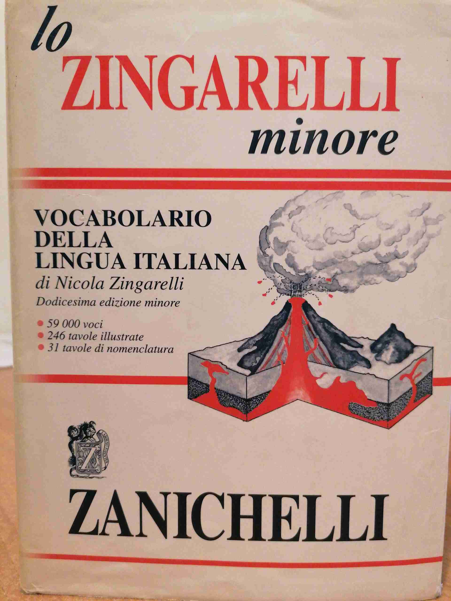 Lo Zingarelli minore. Vocabolario della lingua italiana libro usato