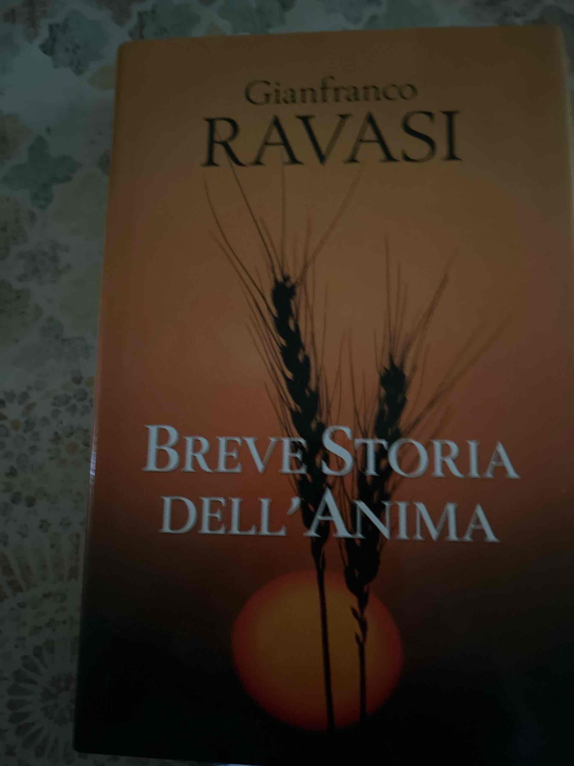 Breve storia dell’anima libro usato