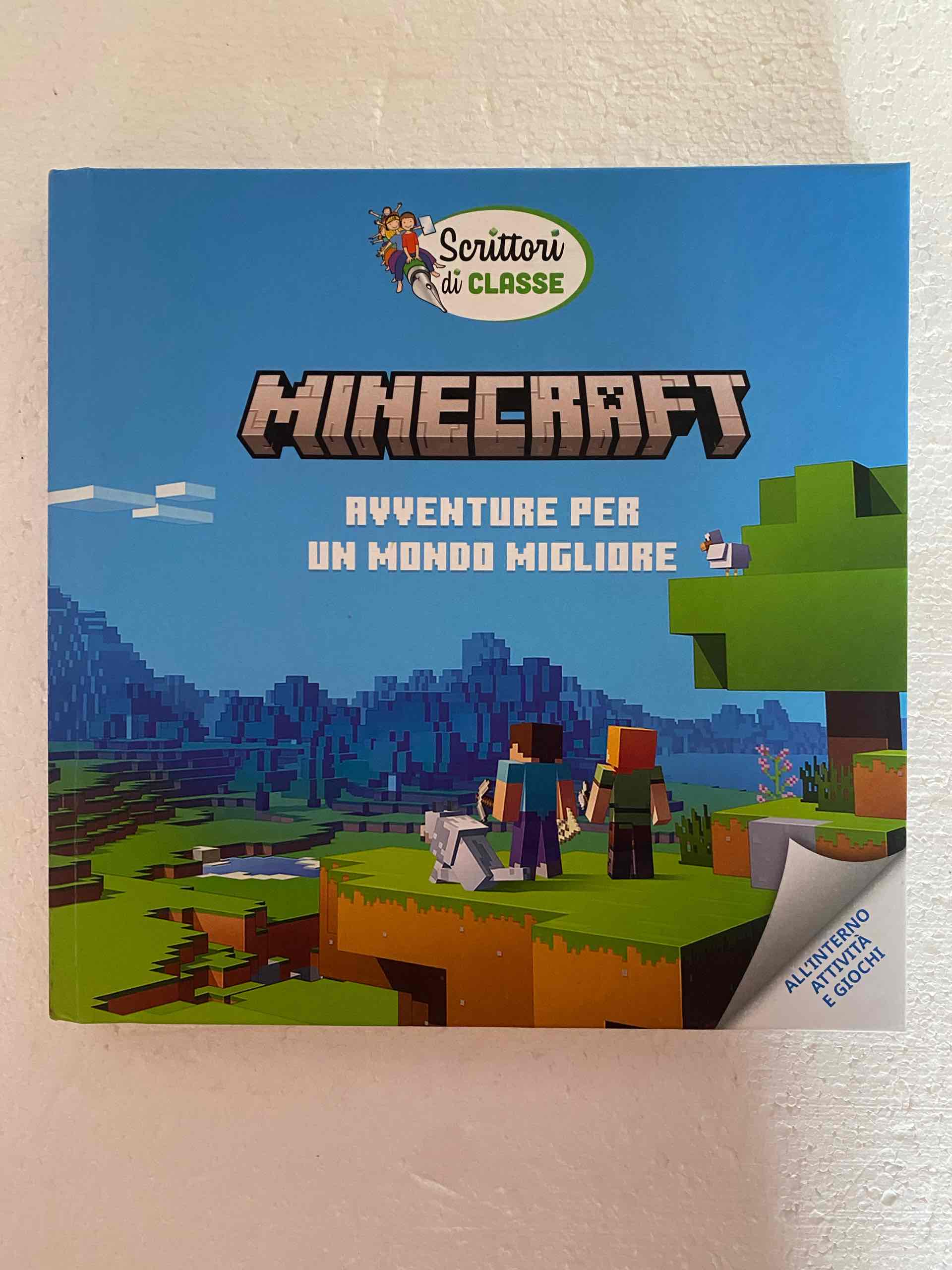 Minecraft libro usato