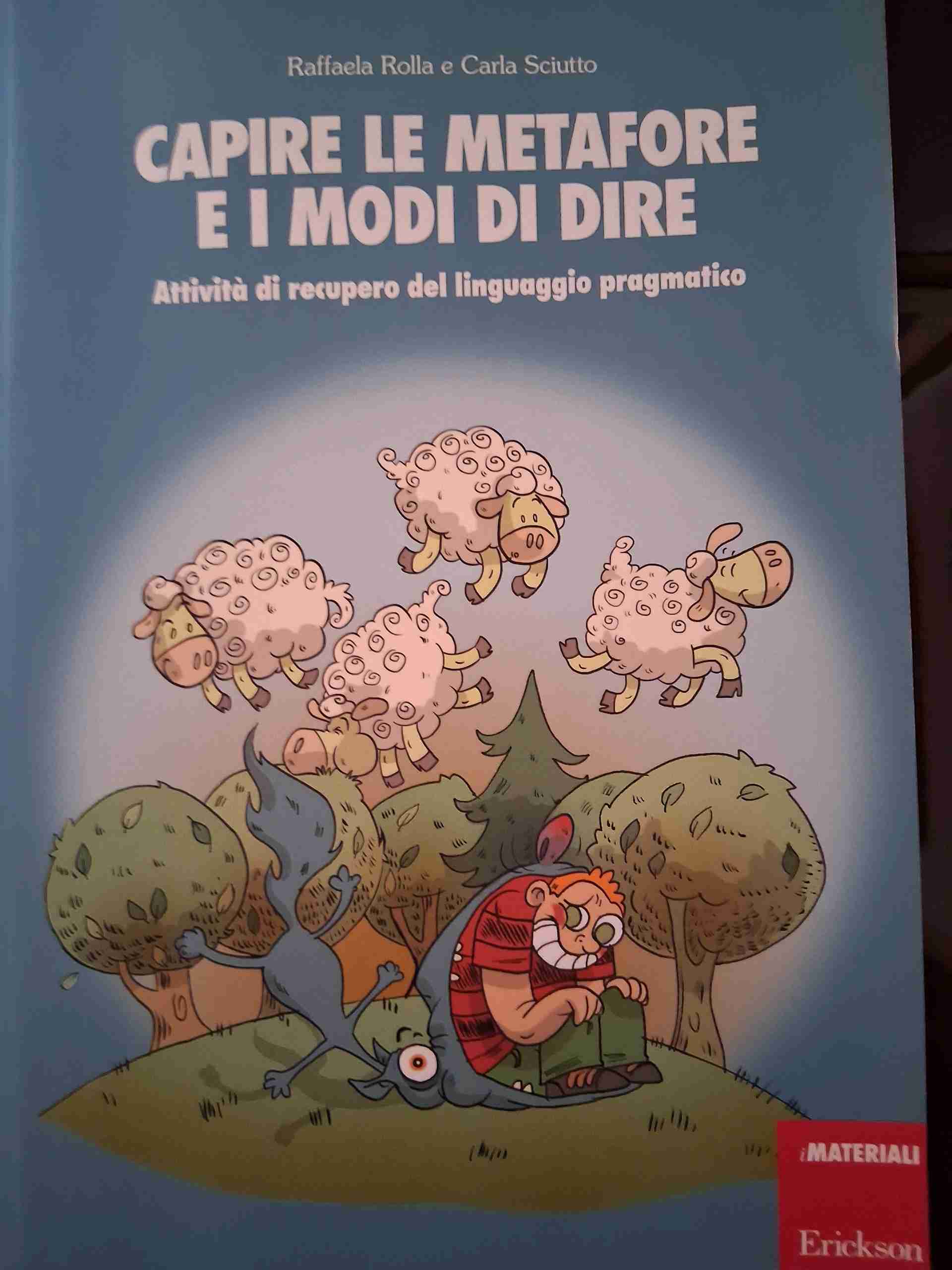 capire le metafore e i modi di dire libro usato
