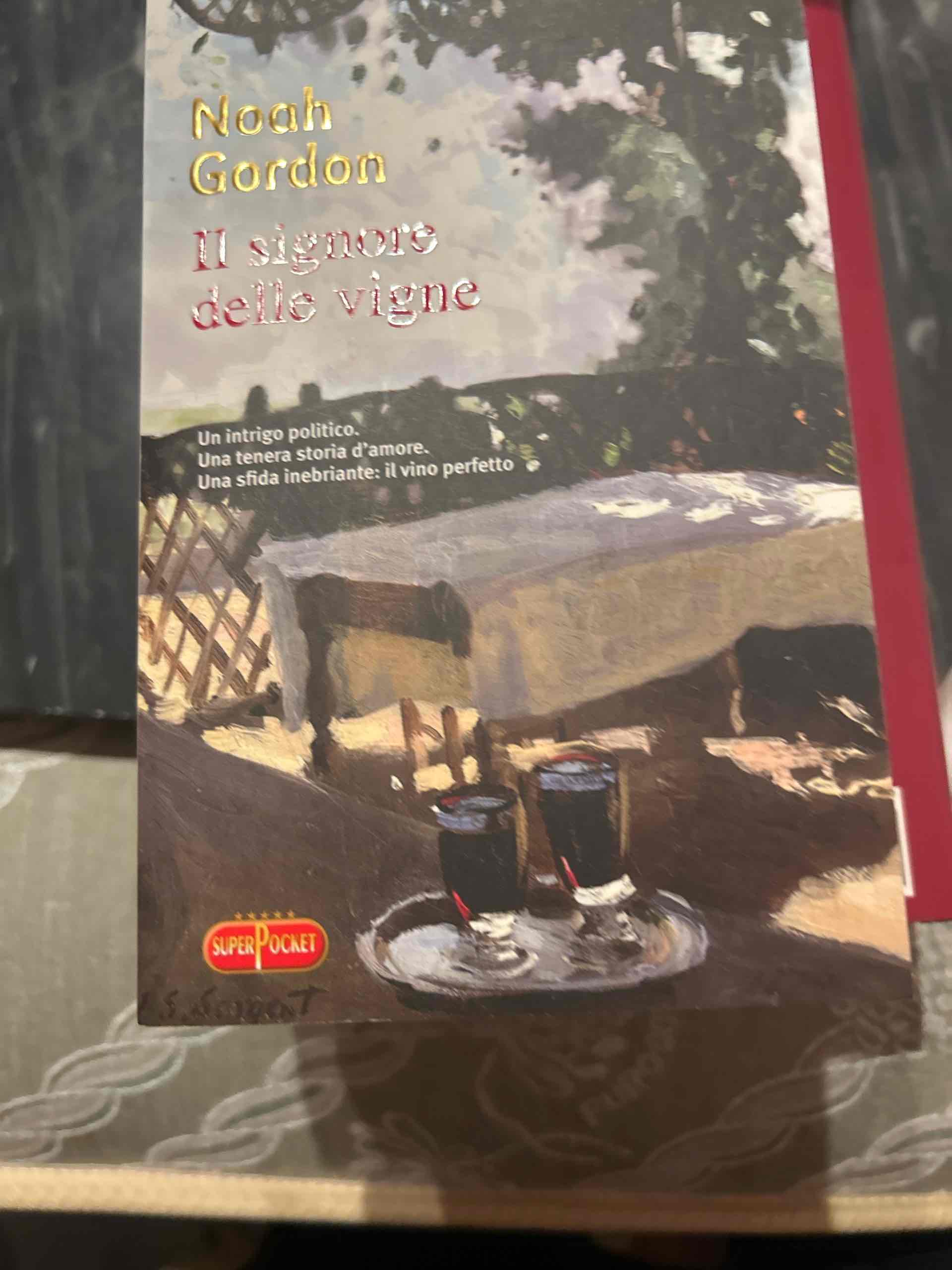 Il Signore delle vigne libro usato