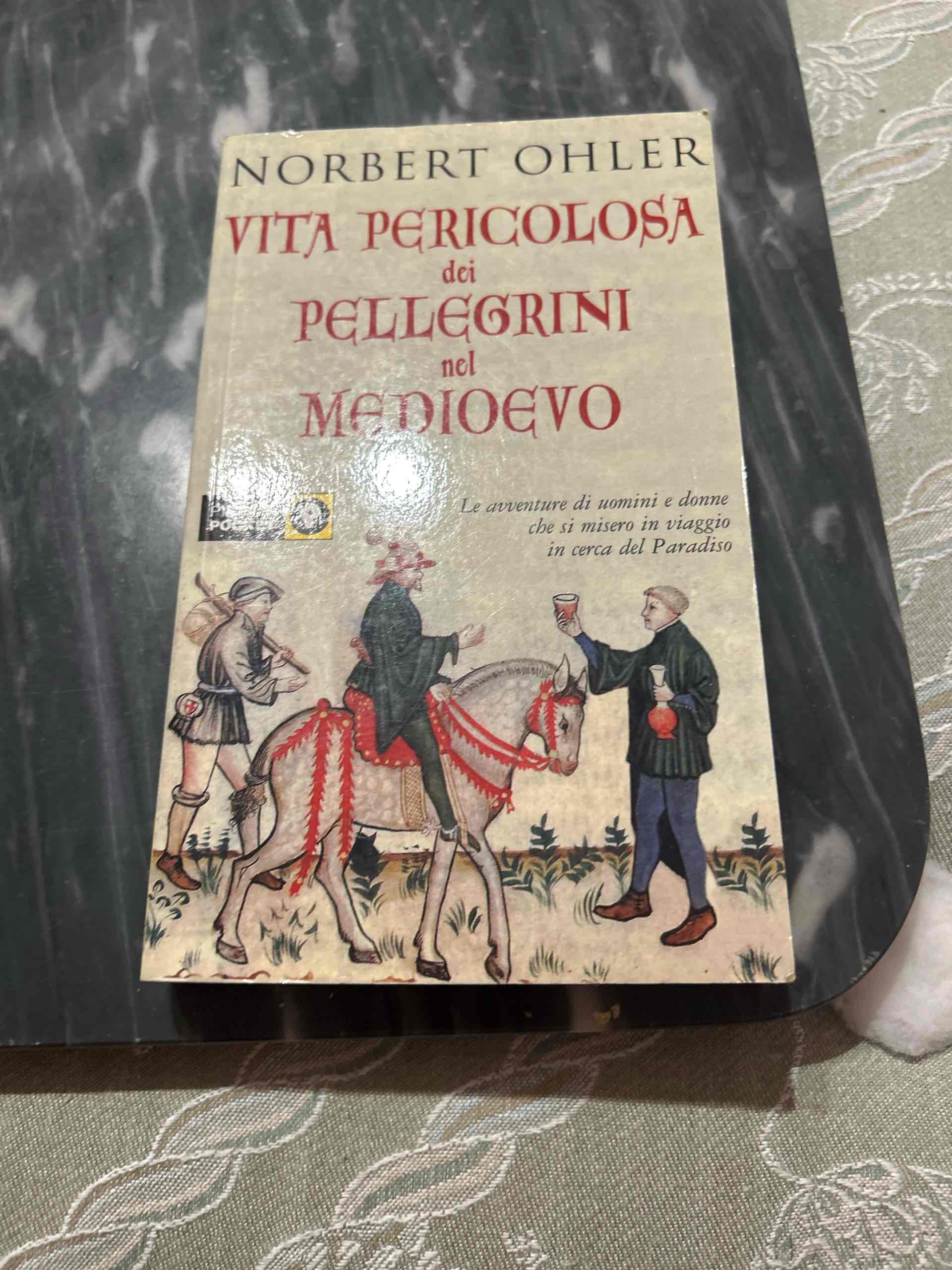 VITA PERICOLOSA DEI PELLINGRINI NEL MEDOOEVO libro usato