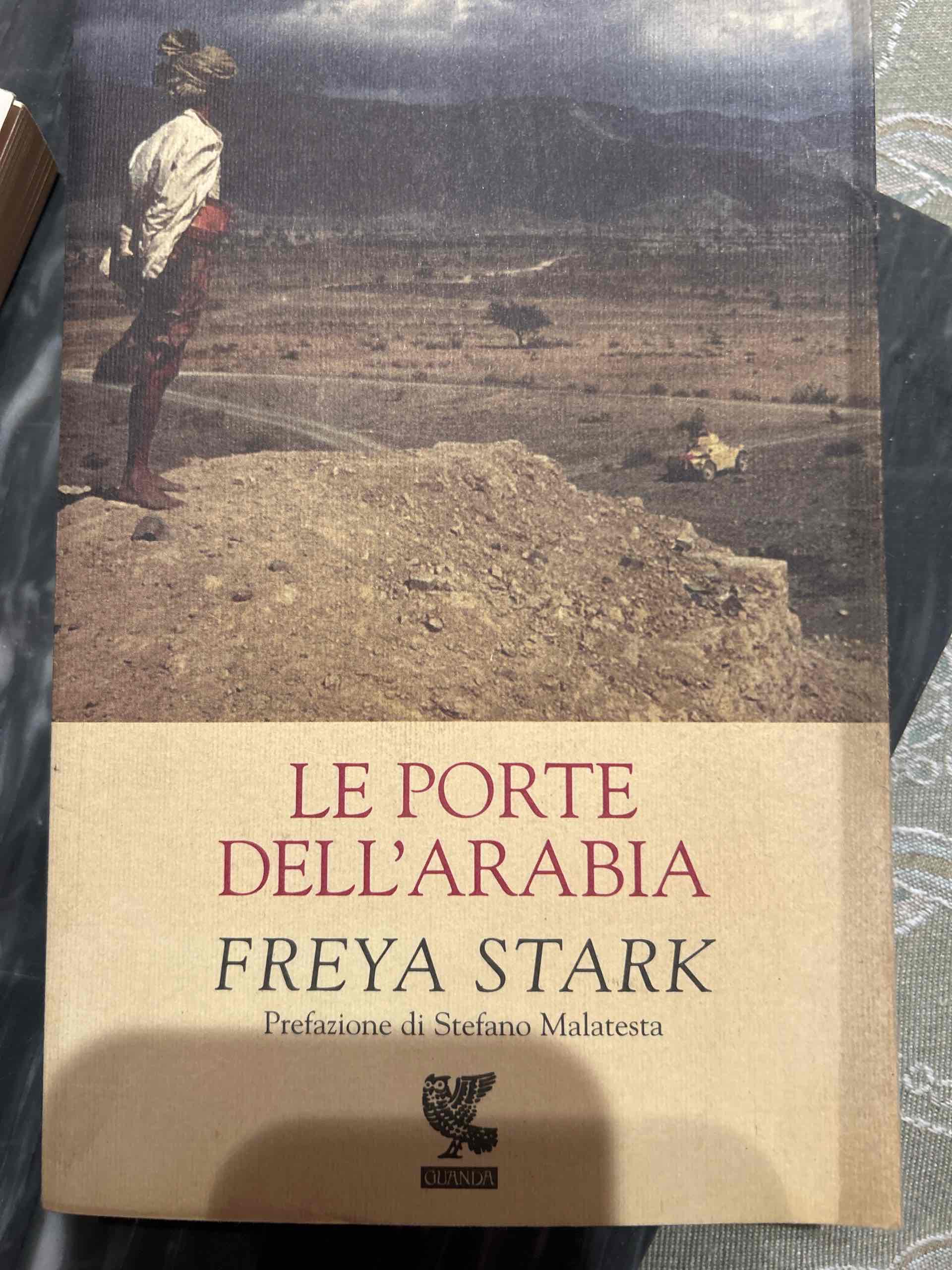 Le porte dell’ Arabia libro usato