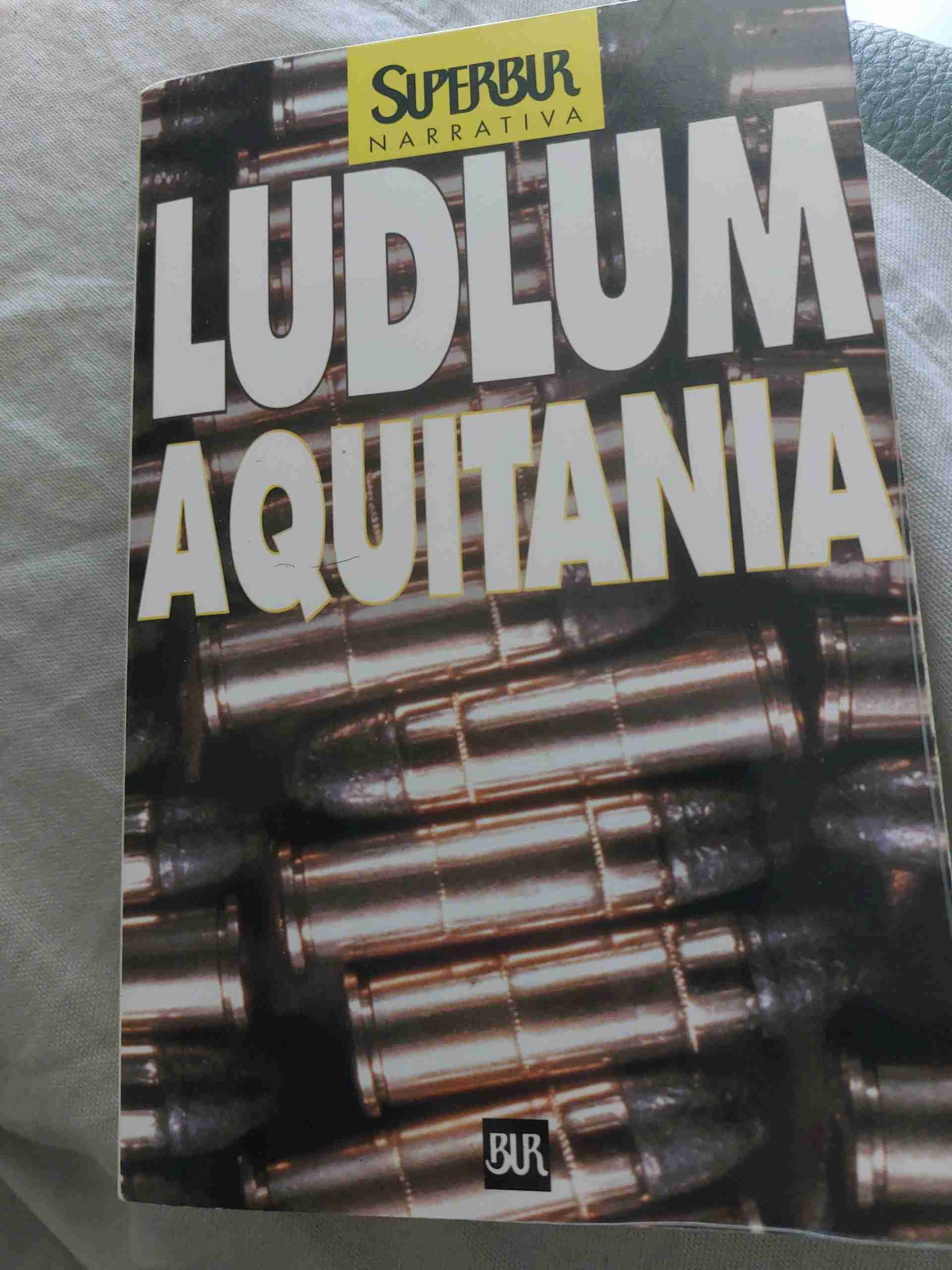 Aquitania libro usato