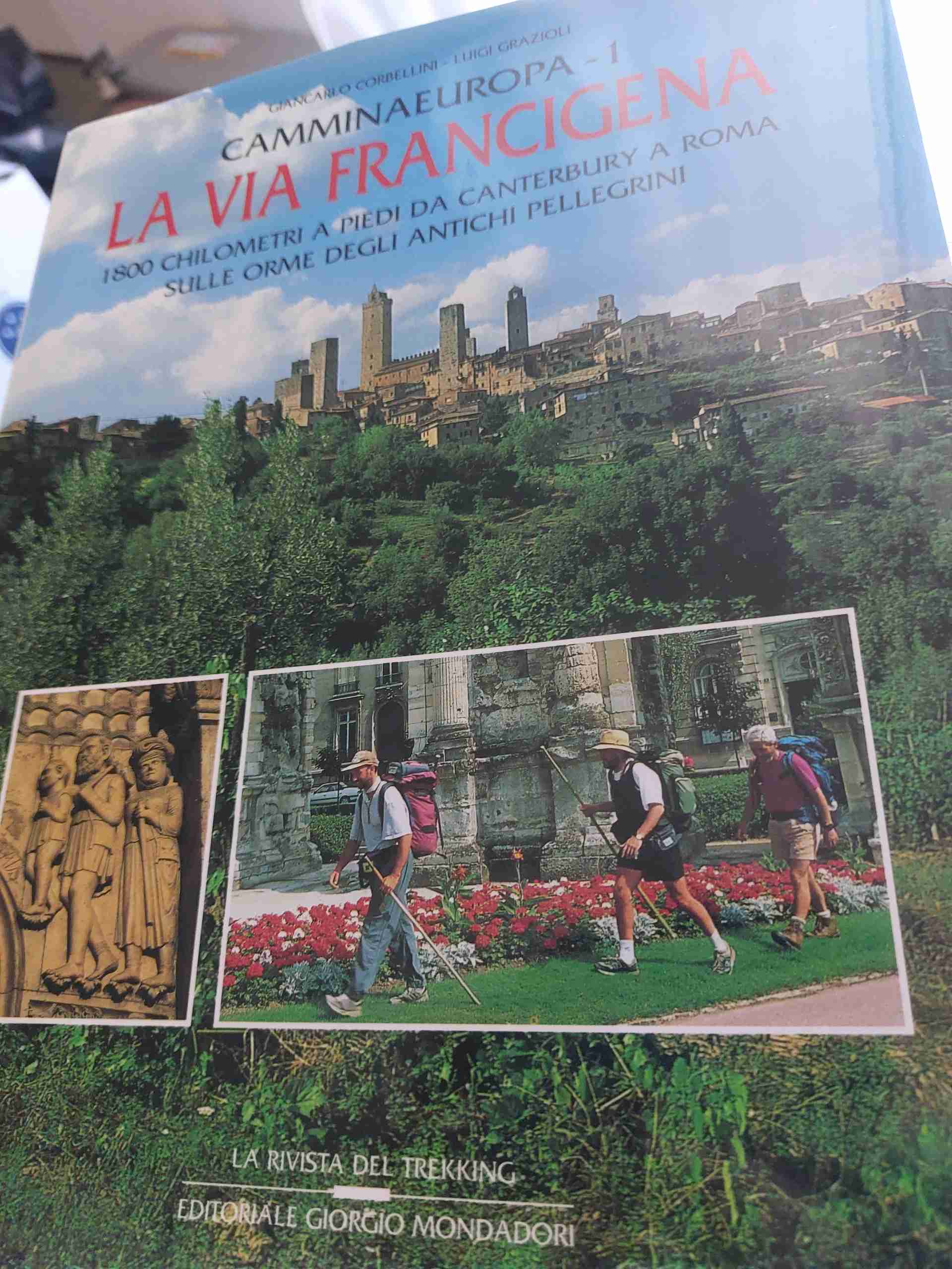 La via Francigena libro usato