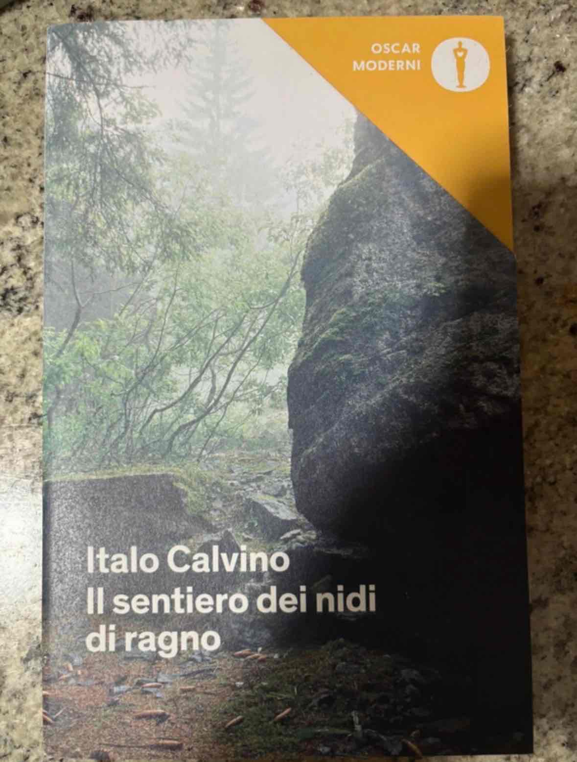 "Il sentiero dei nidi di ragno" libro usato