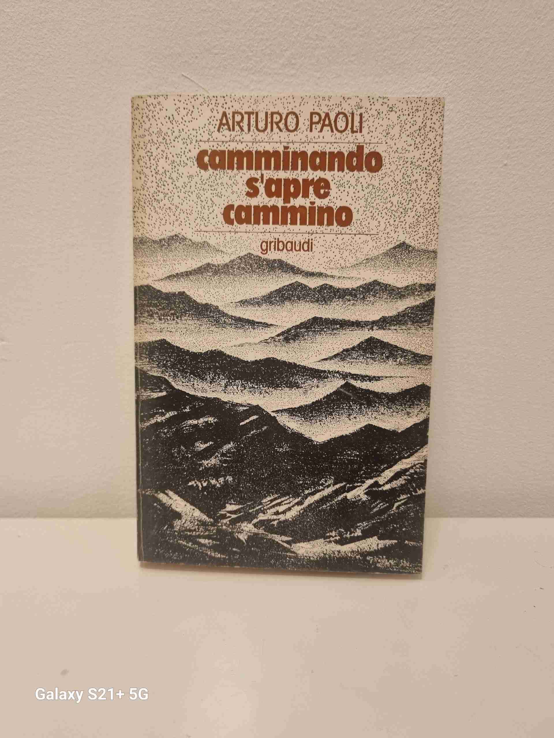 Camminando s'apre cammino libro usato